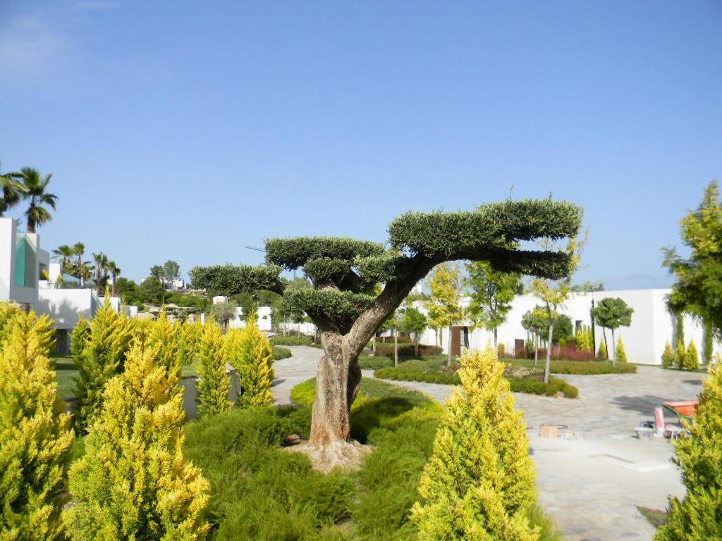 Limonero 17, Golf Club In Las Colinas Dehesa de Campoamor  Exterior photo